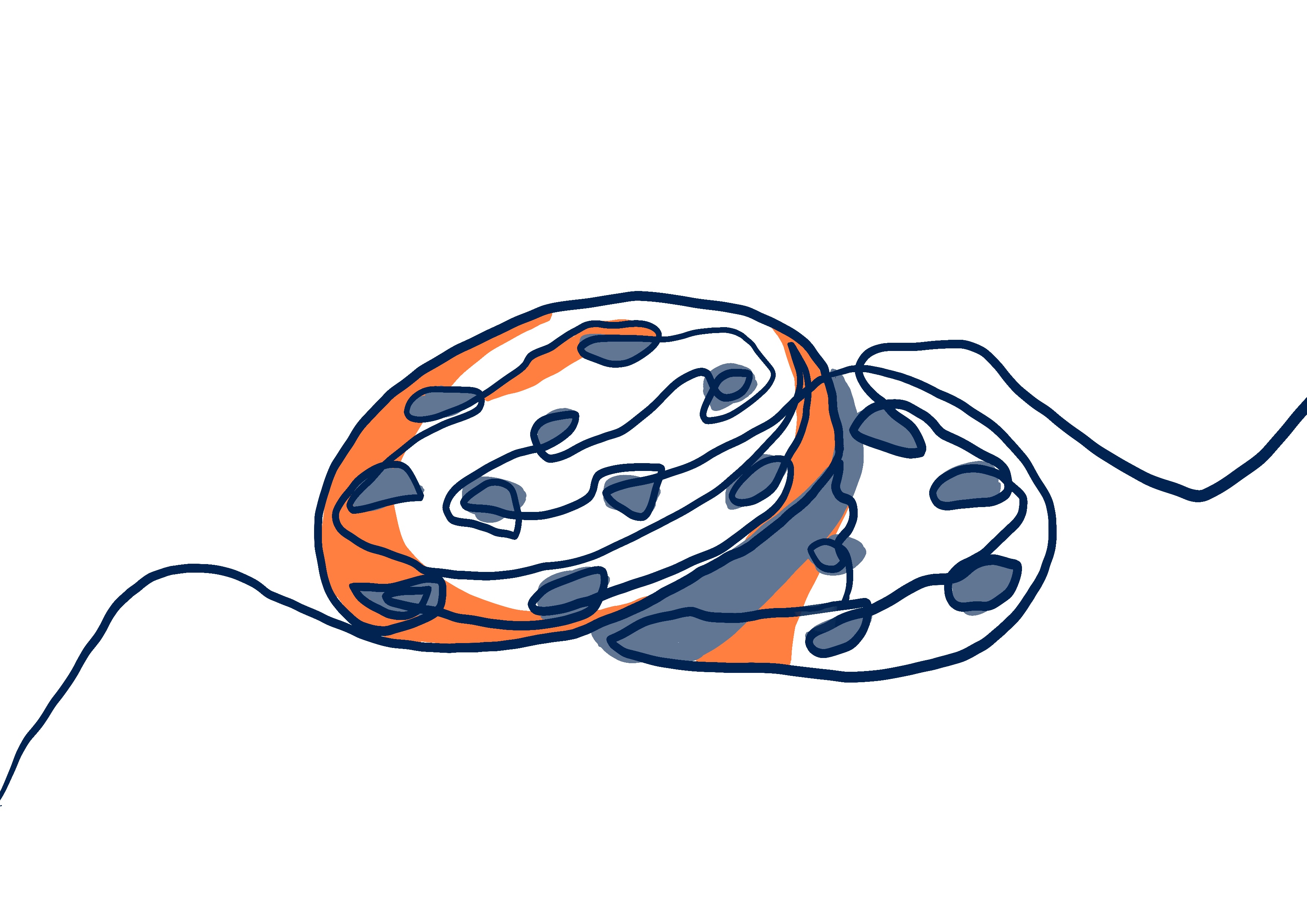 Introducing Cookieless Tracking